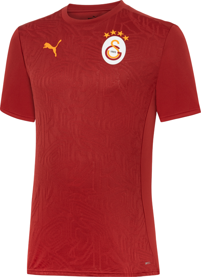 Jersey Puma Training Jersey Rød | 779695-01