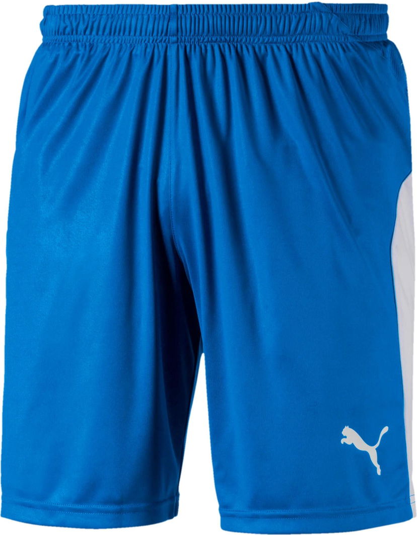 Shorts Puma LIGA Core Shorts Blå | 70343102