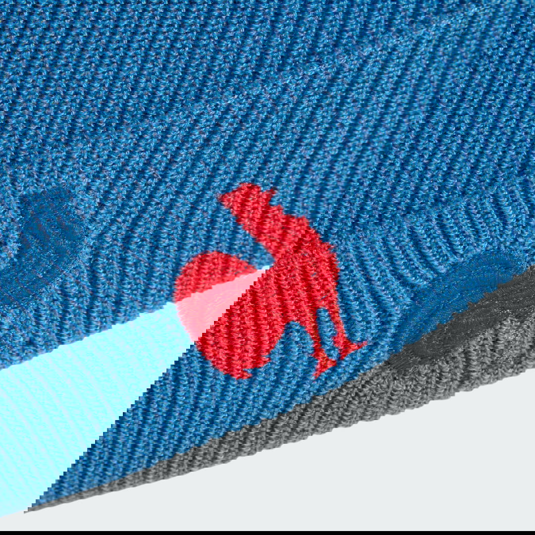 Beanie adidas Performance Fisherman Beanie Blå | JC8481, 1