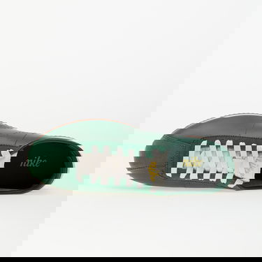 Sneakers og sko Nike Cortez LT Grøn | HQ1841-300, 3