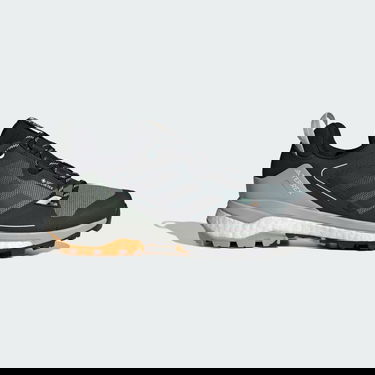 Sneakers og sko adidas Performance Terrex Skychaser GRTX Hiking 2.0 Grå | IE6893, 1