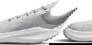 Sneakers og sko Nike Winflo 8 Premium W Grå | da3056-001, 0