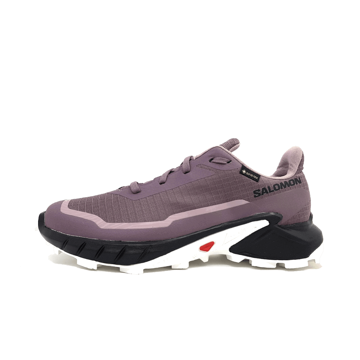 Sneakers og sko Salomon ALPHACROSS 5 GTX Lilla | L47311000, 0