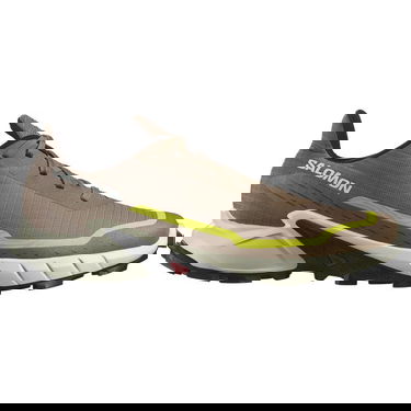 Sneakers og sko Salomon Alphacross 5 Brun | L47460100, 0