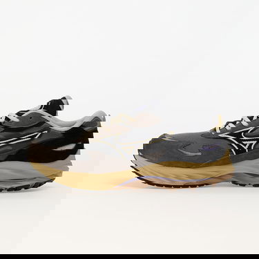 Sneakers og sko Mizuno Wave Rider Grå | D1GA330914, 0