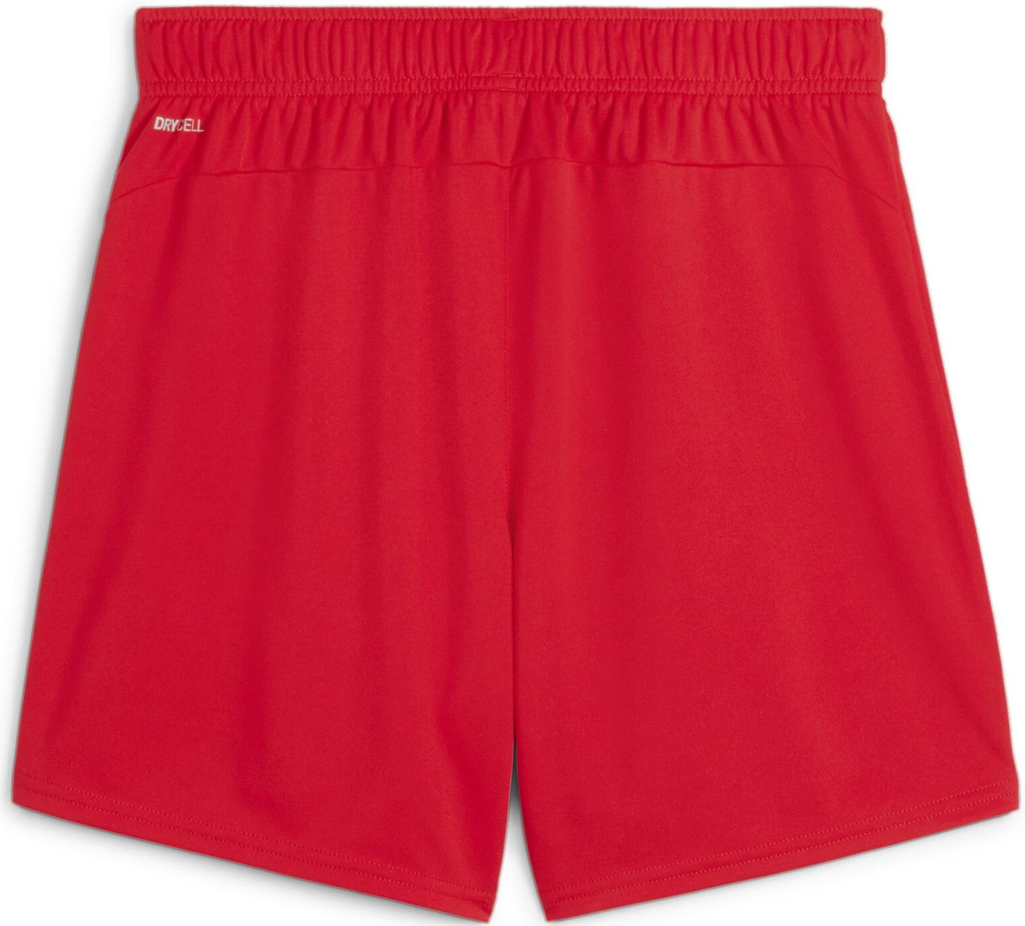 Shorts Puma teamGOAL Shorts Wmns Rød | 705754-01, 1