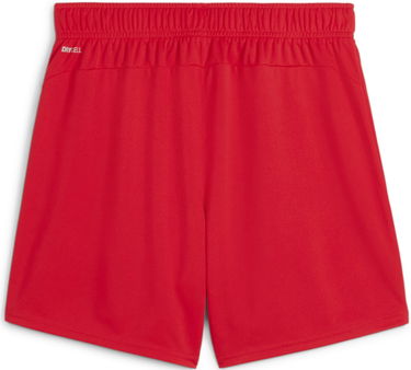 Shorts Puma teamGOAL Shorts Wmns Rød | 705754-01, 1