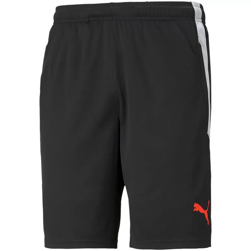 Shorts Puma teamLIGA Training Shorts Sort | 65724941