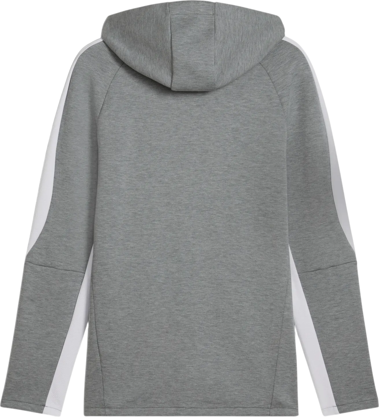 Sweatshirt Puma Puma teamEVOSTRIPE Hooded Jacket Grå | 659947-33, 1