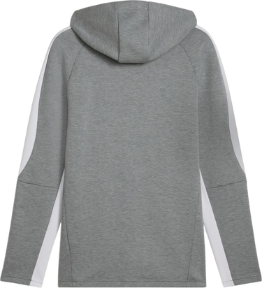 Sweatshirt Puma Puma teamEVOSTRIPE Hooded Jacket Grå | 659947-33, 1