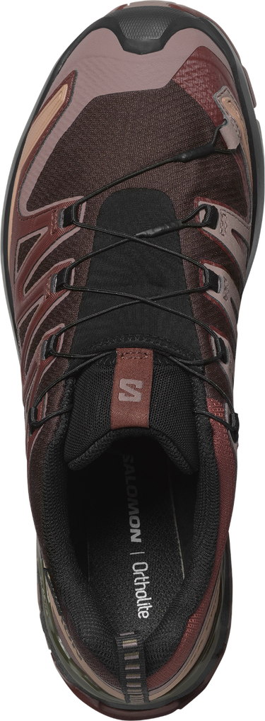 Sneakers og sko Salomon XA PRO 3D V9 GTX Brun | l47583500, 4