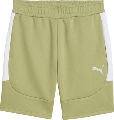 Shorts Puma Puma teamEvostripe Shorts Grøn | 659951-40, 0