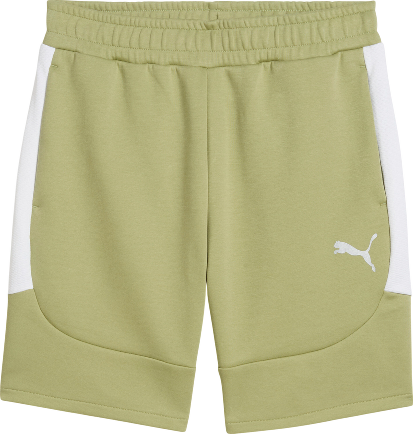 Shorts Puma Puma teamEvostripe Shorts Grøn | 659951-40