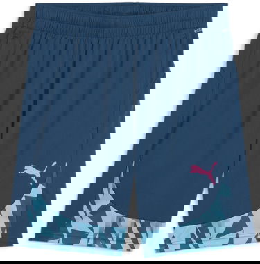 Shorts Puma individualFINAL Blå | 659019-56, 0