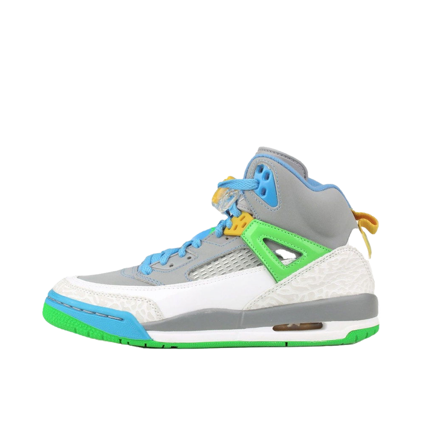 Sneakers og sko Jordan Jordan Spizike Stealth Flerfarvet | 317321-056