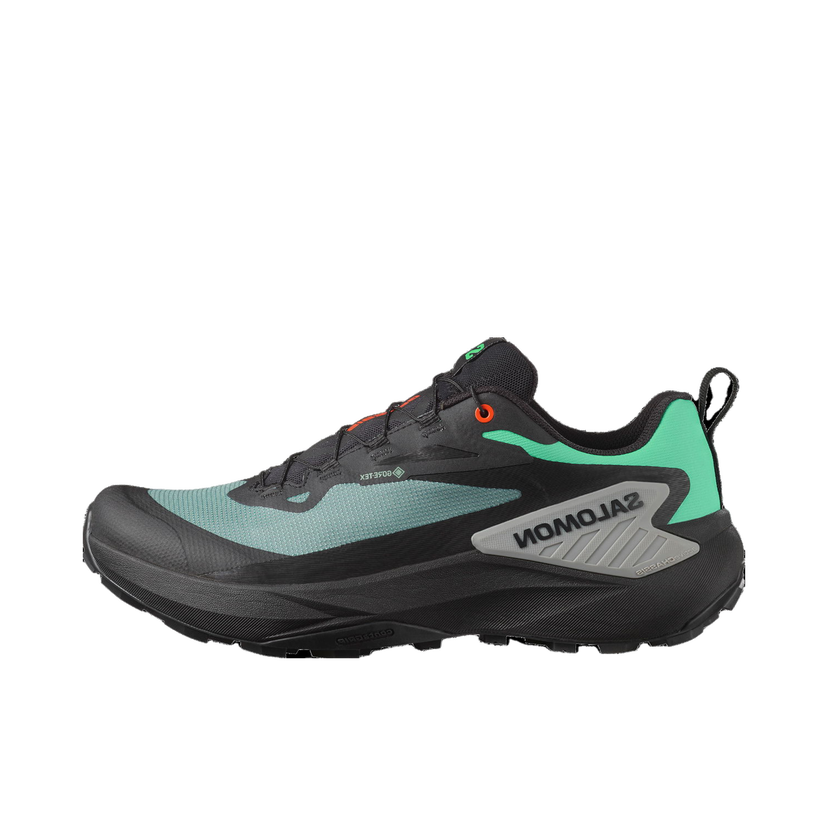Løbe Salomon GENESIS GTX Sort | l47688300