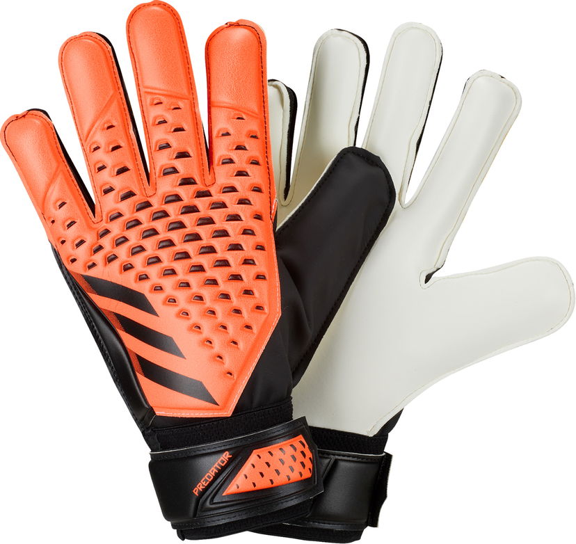 Handsker adidas Originals Predator Goalkeeper Training Gloves Flerfarvet | hn5585