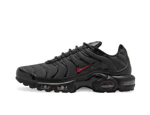 Sneakers og sko Nike Air Max Plus Sort | DO6383-001