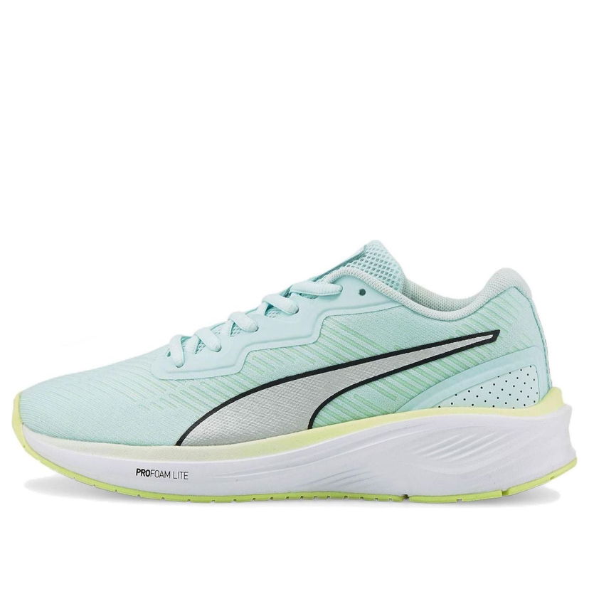 Sneakers og sko Puma Aviator ProFoam Sky Grøn | 376615-08