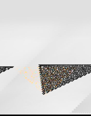 Tørklæde Dolce & Gabbana Dolce & Gabbana Silk Twill Jewel Print Stole Sort | FS326AGDDAYHN5SA, 0