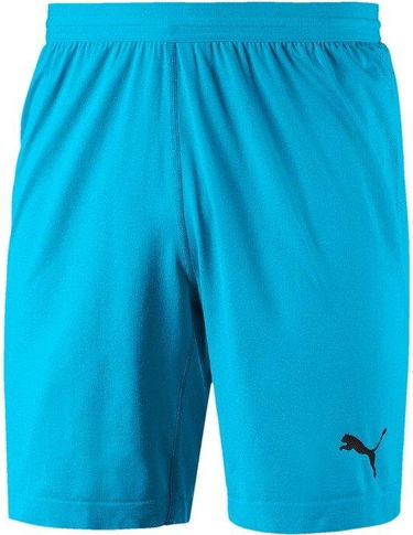Shorts Puma FINAL evoKNIT GK Shorts Turkis | 70345508, 0