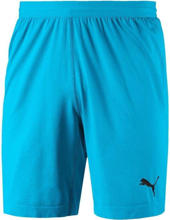 Shorts Puma FINAL evoKNIT GK Shorts Turkis | 70345508, 0