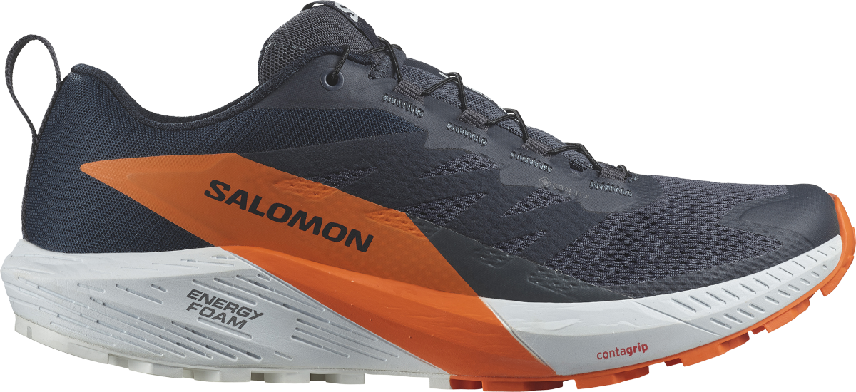 Sneakers og sko Salomon SENSE RIDE 5 GTX Sort | l47459400, 0