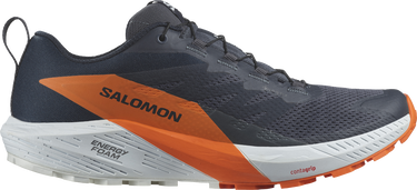Sneakers og sko Salomon SENSE RIDE 5 GTX Sort | l47459400, 0