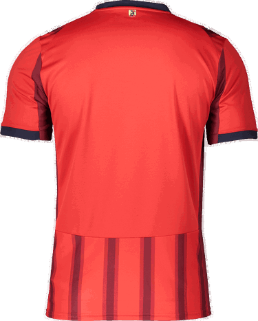 Jersey Puma Puma 1. FC Heidenheim 2025/26 Jersey Rød | 6fch785893-01, 1