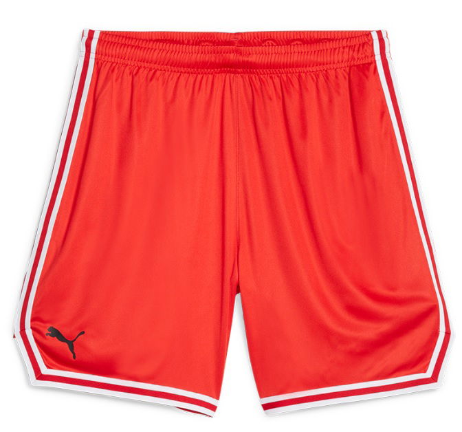 Shorts Puma Hoops Team Game Short Rød | 676629-04