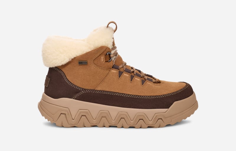 Sneakers og sko UGG TerreTrail Cozy Lace Boot Brun | 1158210-CHE