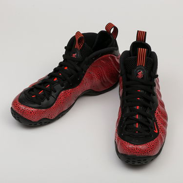 Sneakers og sko Nike Air Foamposite One Rød | 314996-014, 2