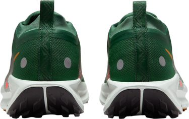 Sneakers og sko Nike Pegasus Trail 5 GORE-TEX Grøn | fq0908-301, 1