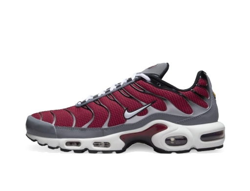 Lifestyle Nike Air Max Plus M Flerfarvet | DQ3983-600