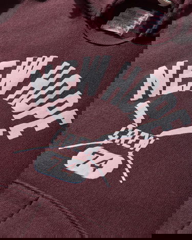Sweatshirt Champion Index and Archives Lighthouse Reverse Weave Fleece Hoodie New Hope Crew 74 Bourgogne | 221858 MS521, 3