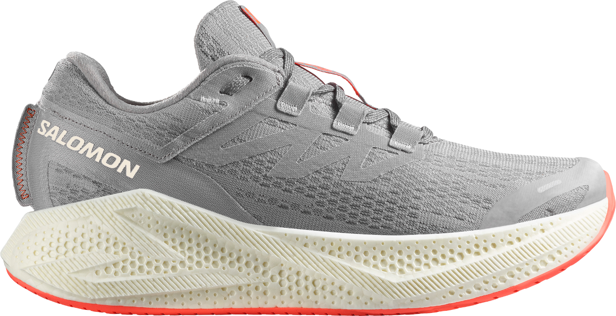 Sneakers og sko Salomon AERO GLIDE 3 Grå | l47810-600, 0