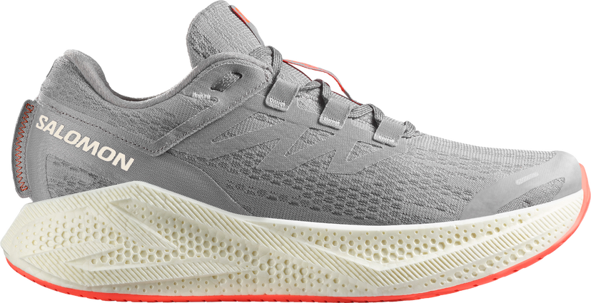Sneakers og sko Salomon AERO GLIDE 3 Grå | l47810-600