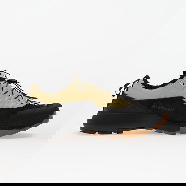 Sneakers og sko Salomon ALPINWAY ADVANCED Paleol/ Black/ Ice Beige | L47859600, 2
