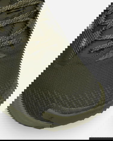 Sneakers og sko Nike Pegasus Trail 5 GORE-TEX Grøn | HQ7494-300, 6