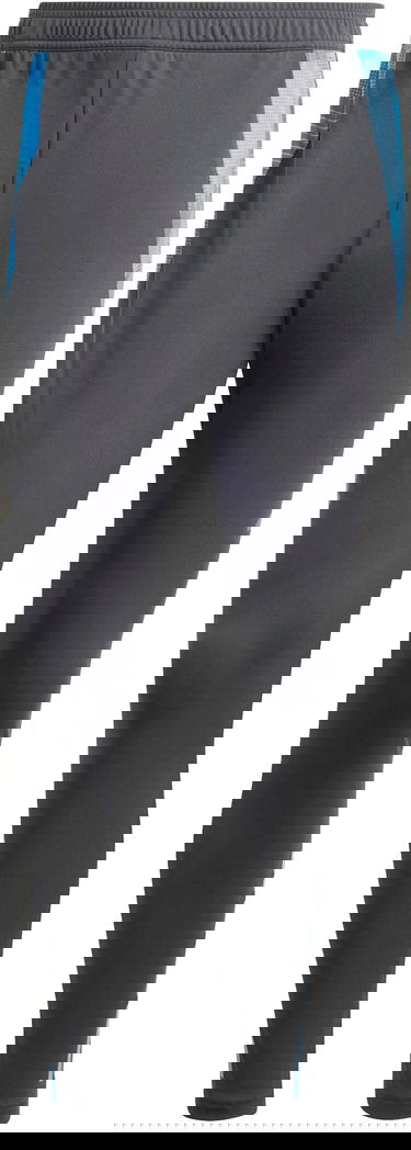 Bukser adidas Originals AFA TR PNT 2024 Grå | iq0824, 1