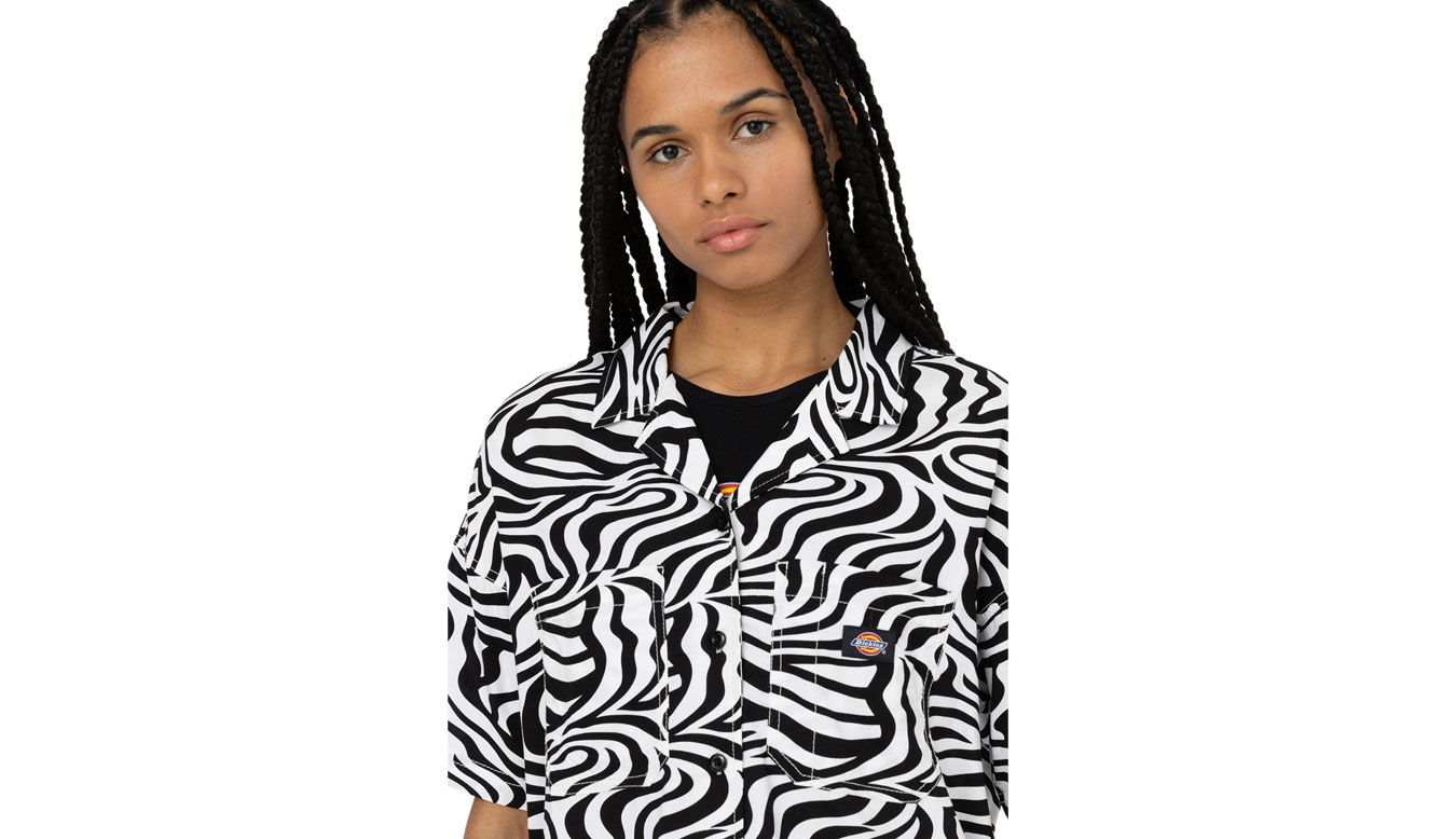 T-shirt Dickies Leesburg Cloud Zebra Flerfarvet | DK0A4Y7TF31, 1