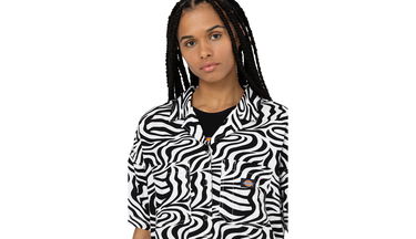T-shirt Dickies Leesburg Cloud Zebra Flerfarvet | DK0A4Y7TF31, 1