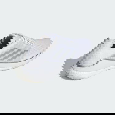 Sneakers og sko adidas Performance Crazyflight Grå | IG3970, 4