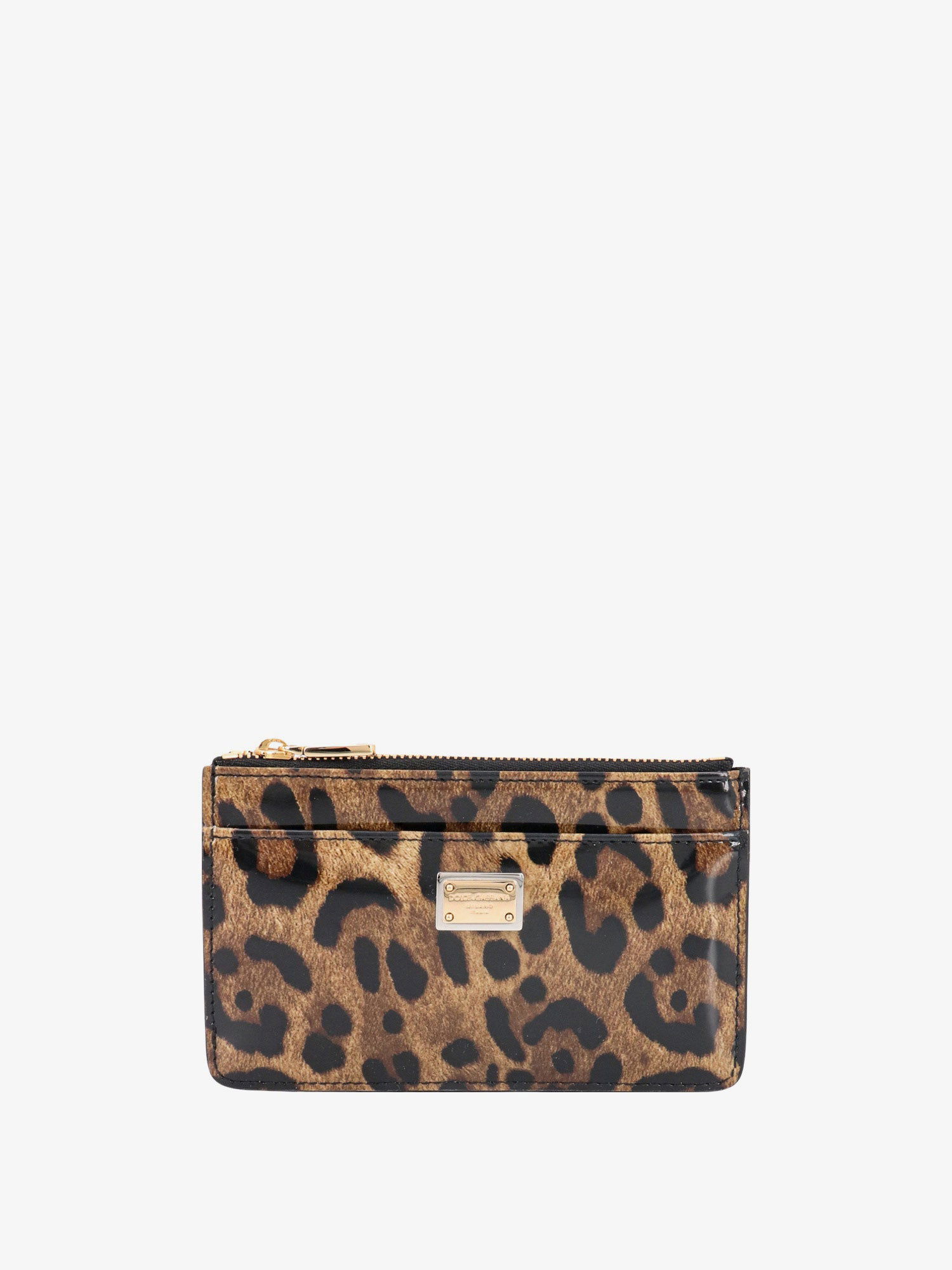 Tegnebog Dolce & Gabbana CARD HOLDER Brun | BI1261AM568HA93M, 0
