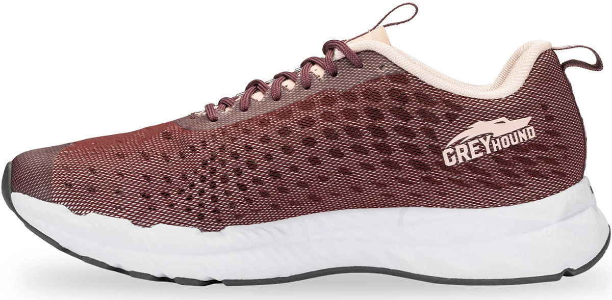 Sneakers og sko Salming Greyhound Lyserød | 1289080-5555, 1