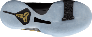 Sneakers og sko Nike Kobe V Lilla | HM3753, 2
