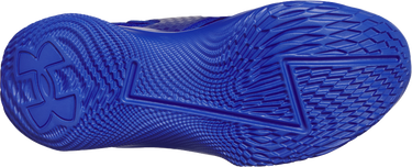 Sneakers og sko Under Armour Under Armour CURRY FOX 1 KW Blå | 6001924-400, 2