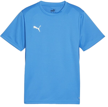 T-shirt Puma teamGOAL T-Shirt Turkis | 658636-02, 0
