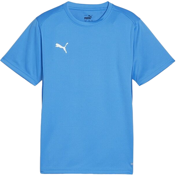 T-shirt Puma teamGOAL T-Shirt Turkis | 658636-02