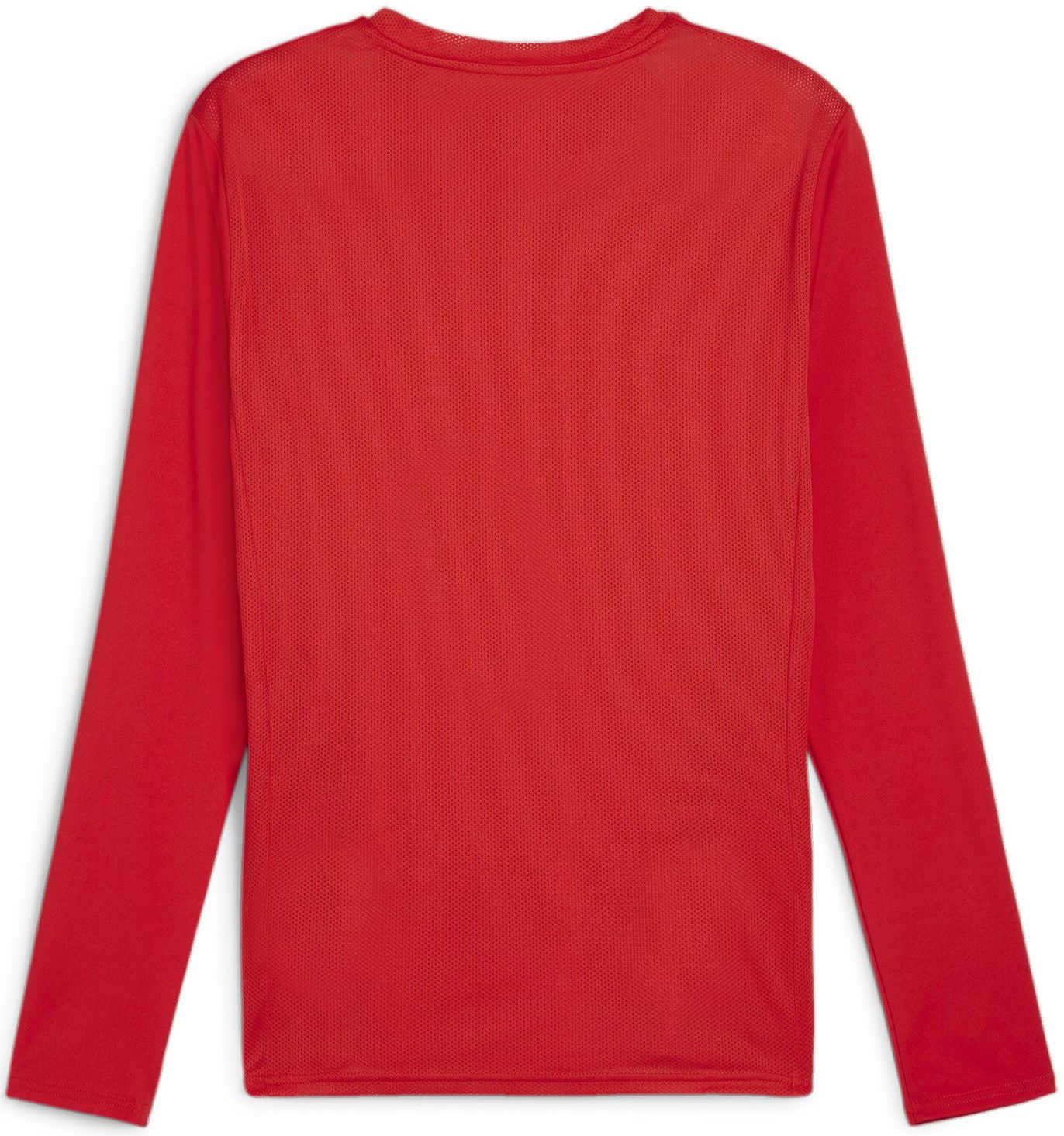 Jersey Puma teamGOAL LS Jersey Rød | 705750-01, 1